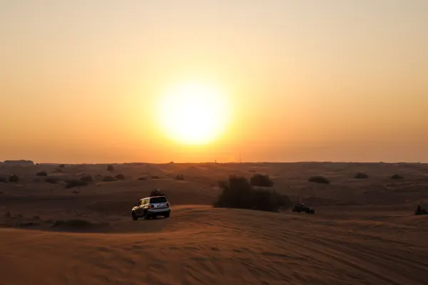 Evening Desert Safari